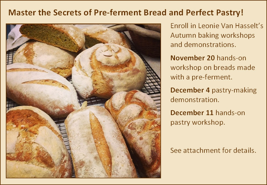 Pre-ferment-bread.jpg
