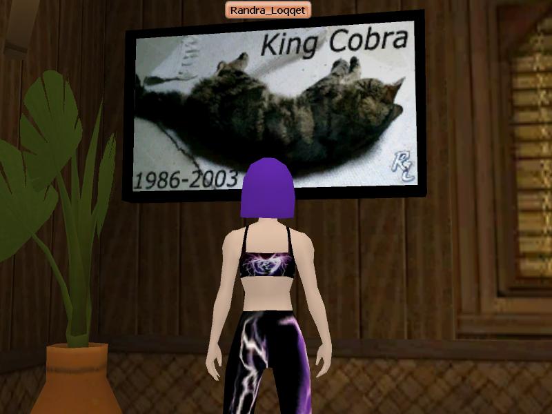 !king_cobra.jpg