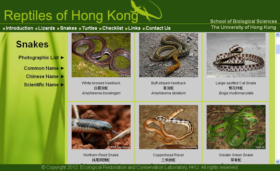 Reptiles-of-HK.jpg