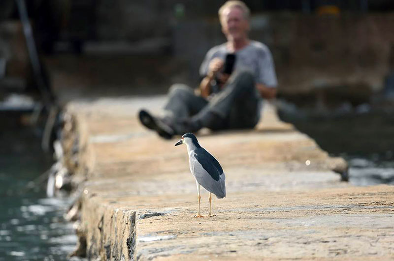 Guy-Heron-selfie-wp.jpg