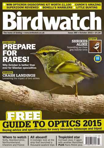 Guy-Birdwatch-cover.jpg