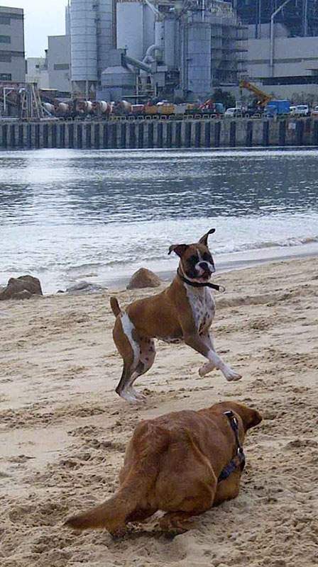 Athletes-of-Power-Station-Beach-Pic-1.jpg