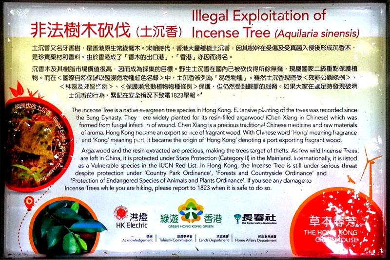 !20140503_142939-wp.jpg