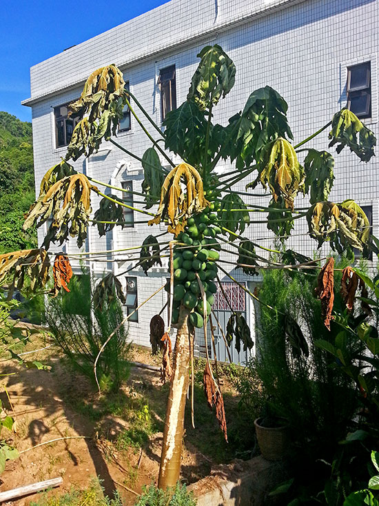 !20140824_160950.jpg
